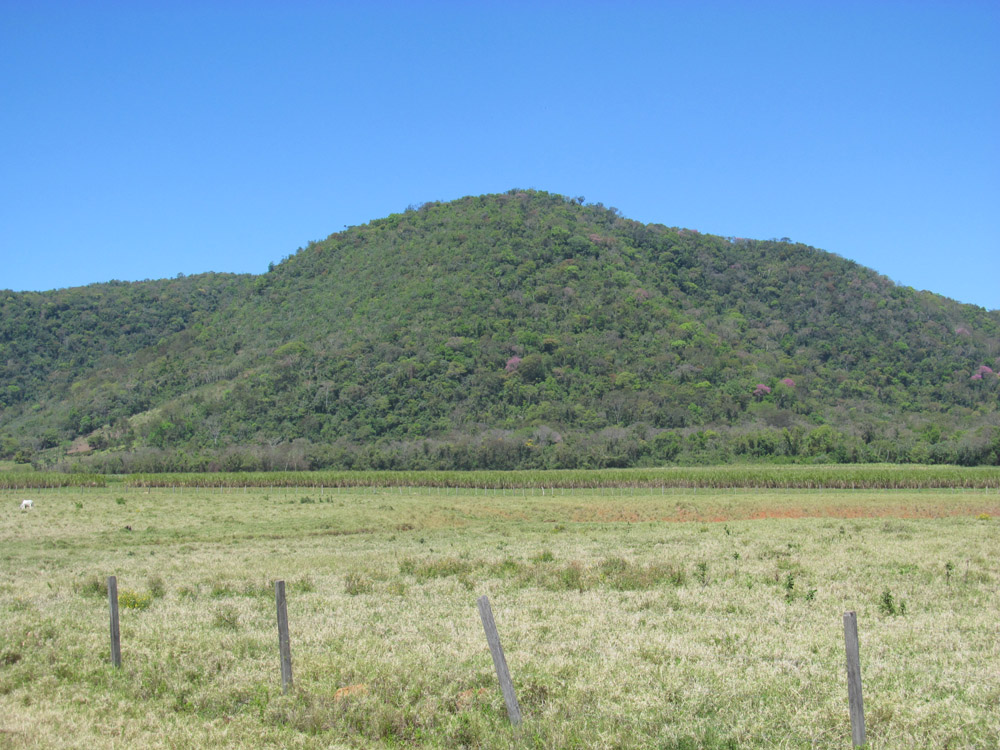 1Bosque seco ca. Tobatí Paraguay 2