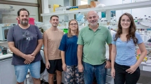 CIENCIAS BIOLOGICAS Y DE LA SALUD. Descifran nuevos secretos sobre la regeneración de las plantas